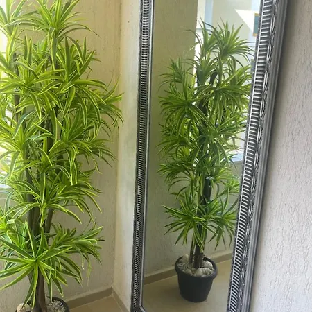 Sea Garden